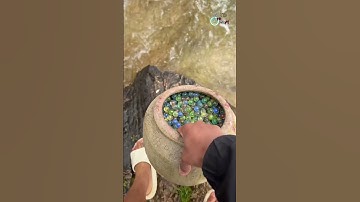 tuổi thơ đầy dữ dội