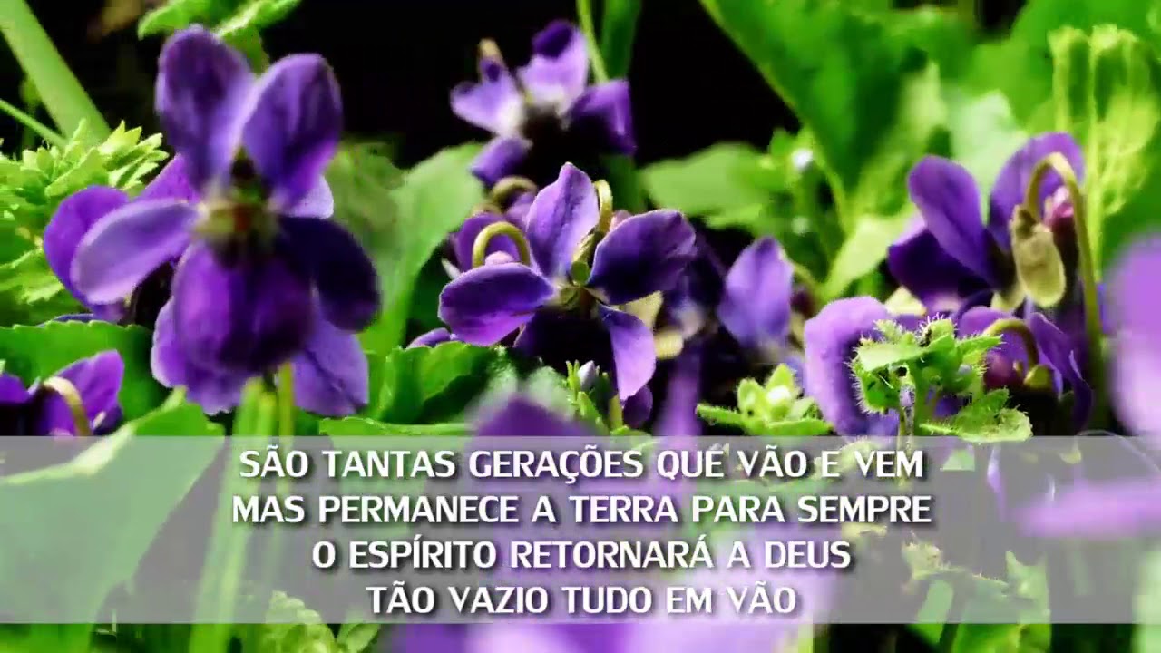 Amar a Deus | Coral AD Criciúma