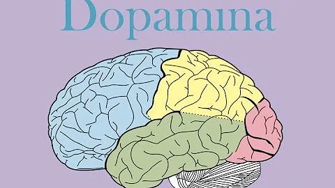 Quali sono i cibi che supportano i neurotrasmettitori?