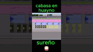 cabasa en huayno sureño