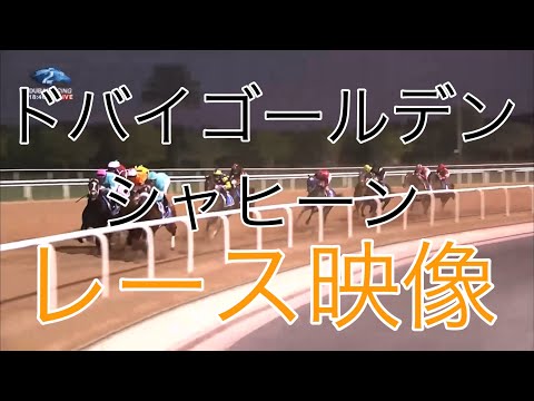 ドバイゴールデンシャヒーン2022レース映像