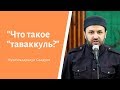 Что такое &quot;таваккуль&quot;?