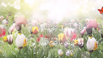 سورة القدر للقارئ الشيخ عبدالودود مقبول حنيف