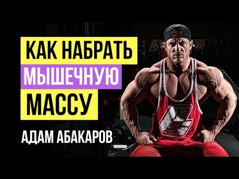 Как набрать мышечную массу? Как правильно набирать мышечную массу: Адам Абакаров для Body-Pit.Ru