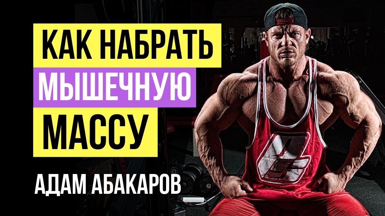Как набрать мышечную массу? Как правильно набирать мышечную массу: Адам ...