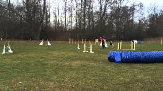 2014-03-25 Jumping course