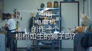 Dremel 琢美 8050 产品视频 - 简体中文