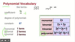 Polynomial Vocabulary - Google Slides