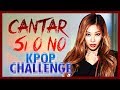 Cantar SI o NO KPOP CHALLENGE