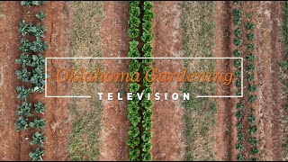 Oklahoma Gardening April 27, 2024