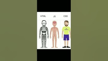 HTML CSS & JS 😍#htmlcss #csstutorial #jstutorial #javascript #codinghacks #codingtips #trending