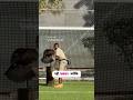 Buteyfull Bird 🐦#Short #viralvideo