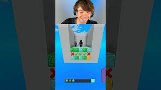 Famous Minecraft COLOR MATCH Wealth