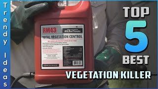 Top 5 Best Vegetation Killer Review In 2024 | Our Recommended