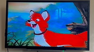 The Fox And The Hound: Adult Tod (1981) (iPhone) (14)