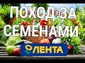 ПОХОД ЗА СЕМЕНАМИ В ЛЕНТУ. ОБЗОР СЕМЯН 2018