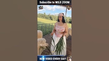 19 Amazing Animal Moments Caught on Camera! 📸