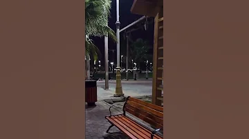 ياللي هجرت القلب من دون سبه 