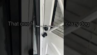 Confronting Crazy Dog Owner