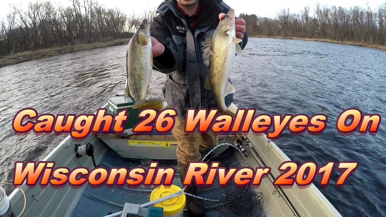 Caught 26 Walleyes Fishing The Wisconsin River 2017 YouTube