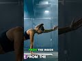 Bird Dog Fixes Back Pain: Improve Core Stability