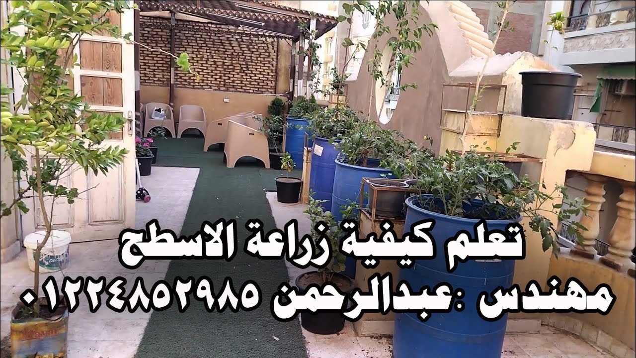 تعلم كيف تزرع سطحك خضر وفاكهة وزينة مع خبير زراعة الاسطح مهندس:عبدالرحمن 01224852985@VillageFarmerTamil