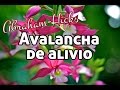 Abraham-Hicks en español ~ Avalancha de alivio