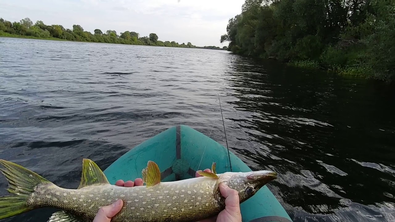 Уровень воды в угре товарково сегодня