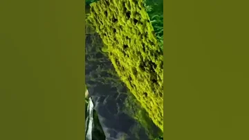 لما نسمع اسم النبي 