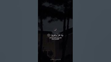 صلو على رسول اللّه ﷺ            #قرآن #تلاوات_خاشعة #قران_كريم #رتل_القرآن #فلسطين