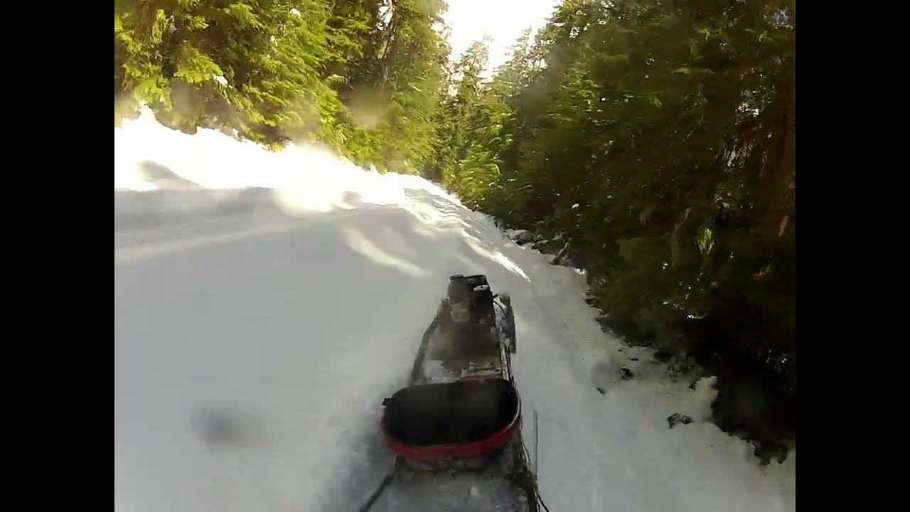 Motorized dog sled YouTube