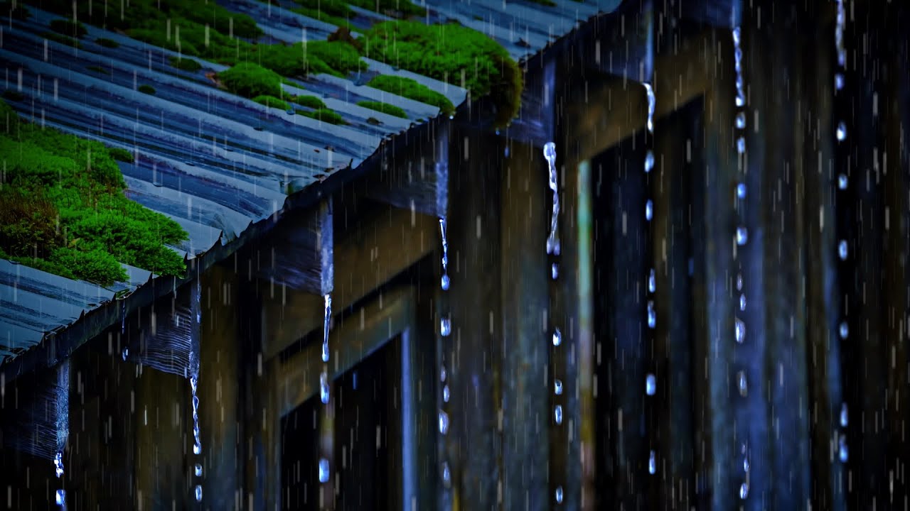 Rain Sounds for Sleep on Tin Roof | Fall Asleep & Relax with Rain Noise