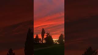 #beautiful #nature #on #earth #evening #time #lovely #views #awesome #vibes #goodevening #everyone