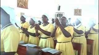 Catholic music - Nimekuja kwako Mungu wa majeshi #catholic  #video #shorts