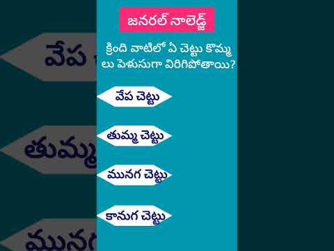 జనరల్ నాలెడ్జ్ | General Knowledge #generalknowledge #gk2023 #gk