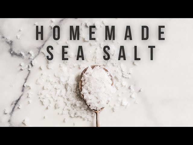 Guide to Sea Salt: How it's Made & Where it Comes From