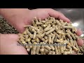 How to select materials to make feed pellets