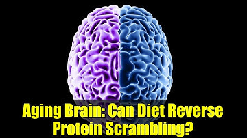 Aging Brain: Can Diet Reverse Protein Scrambling?