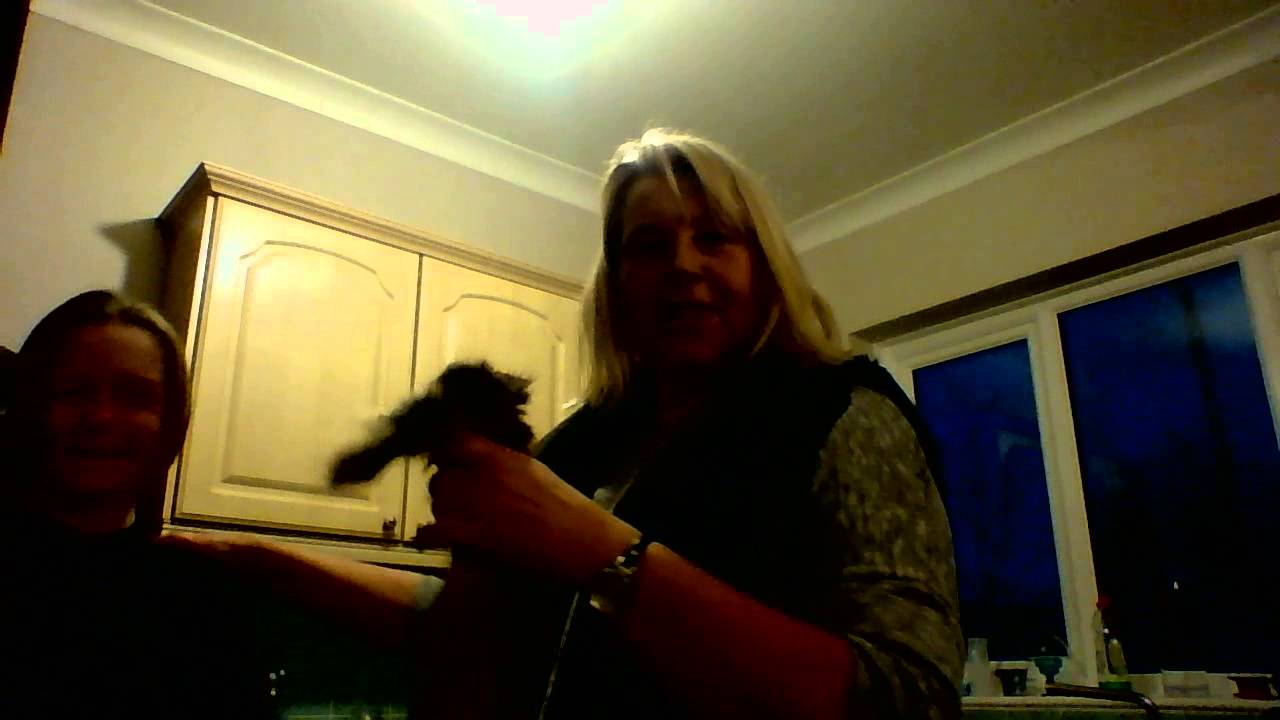 The Crazy Hairdresser YouTube