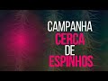 Dia 2 - Campanha Cerca de Espinhos