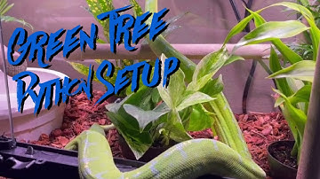 Update on the Green Tree Python Setup