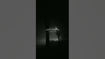 القارئ /شريف مصطفى