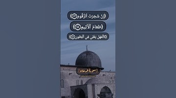 سورة الدخان الآية ٤٣ الى ٥٠ بصوت الشيخ محمد صديق المنشاوي
