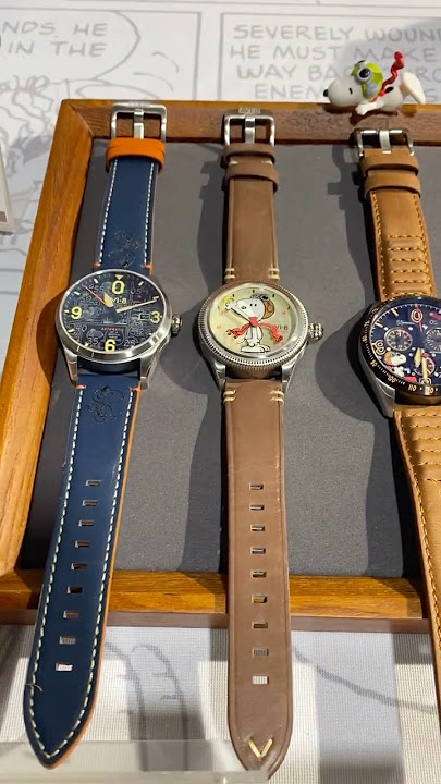 Why Everyone Wants The Snoopy's Flying Ace Collection by AVI-8