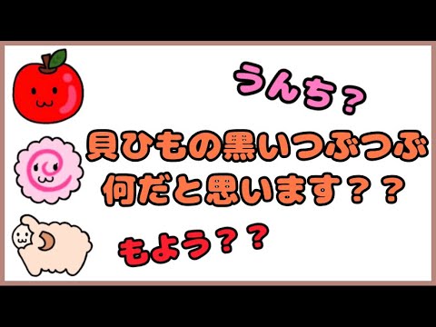 【あらなるめい】ホタテが嫌いになるトリビアを教えてくれるめいちゃん【切り抜き】