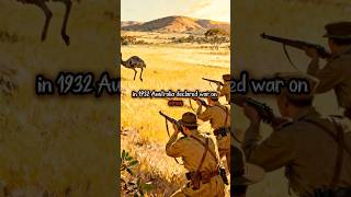 Australia Lost a War to Emus