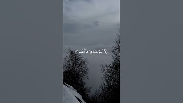 سورة الكافرون