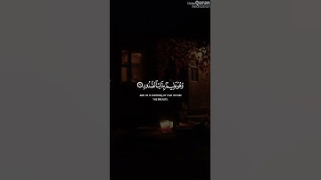 سورة الحديد - الآية 6 | هزاع البلوشي #قرآن #اكسبلور