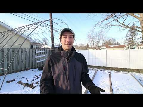 Video: Augalų laistymas ir beveik užšalimo temperatūra: vanduo augalams žiemą