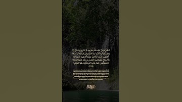 سورة البقرة الآية رقم 229  بصوت مشاري راشد العفاسي مع الترجمة الإنجليزية  #القران #لايك #اكسبلور